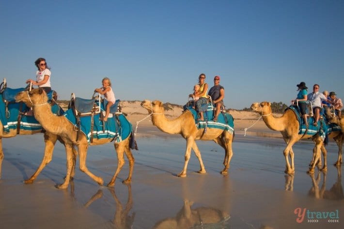 family riding camels on on Cable Beach,