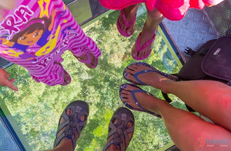feet on the glass floor of gondola with jungle views below