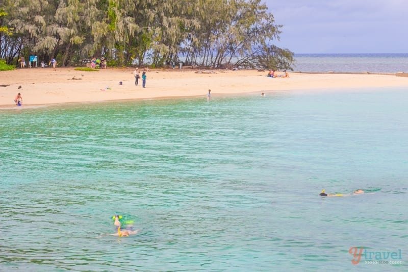 people snorkeling off beach at Green Island, Cairns