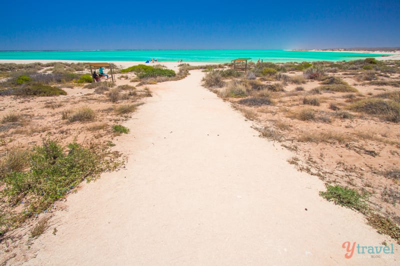 sand trail leading towards a beach