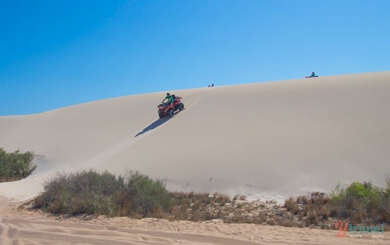 people riding bikes down sand dunes