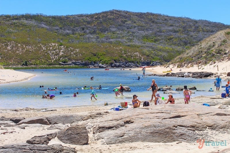 people swimming in the shallows Prevelly Beach, Margaret River Region, Western Australia