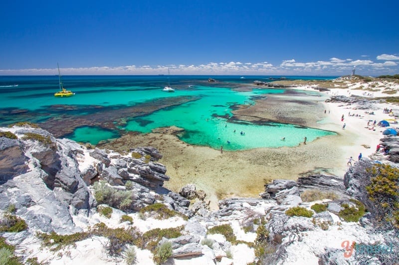 Isla Rottnest, Australia Occidental