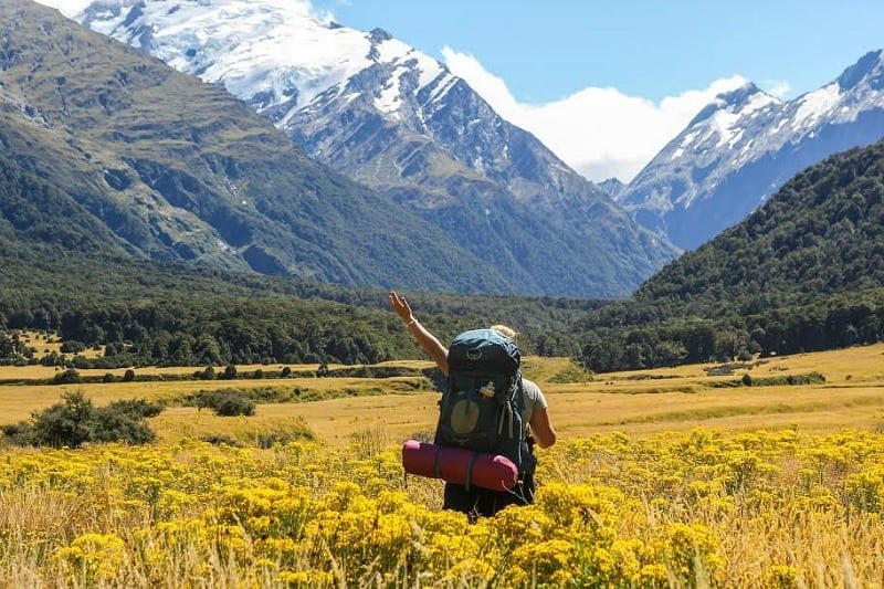 person walking in a flower valley towards snowy mountain