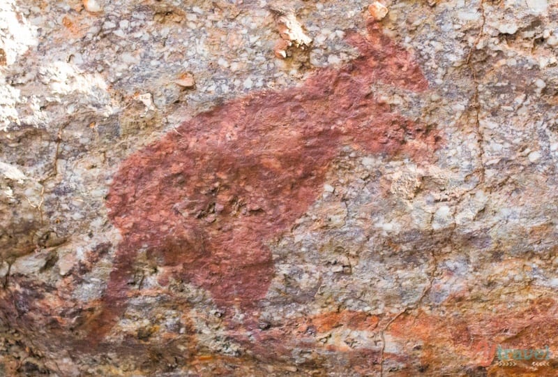 A close up kangaroo painting  of a rock