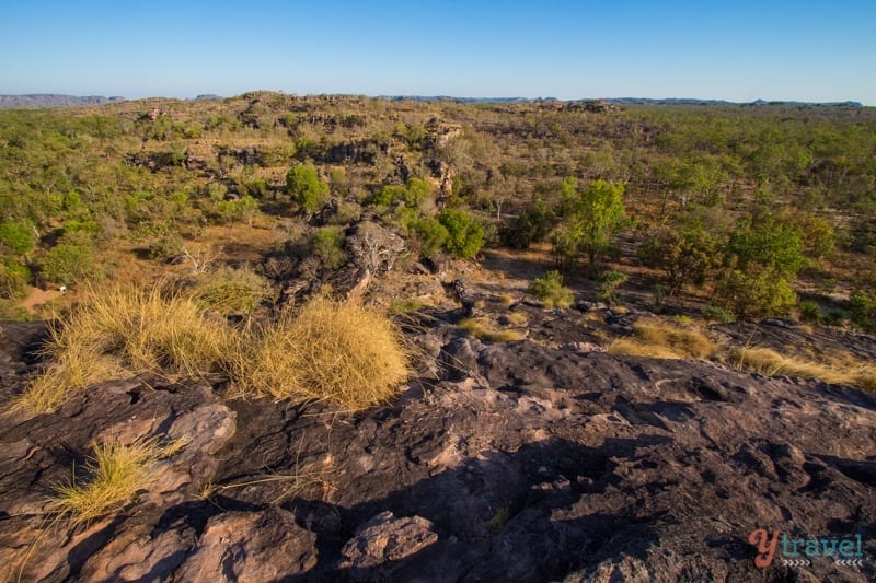Kakadu National Park Northern Territory (11)
