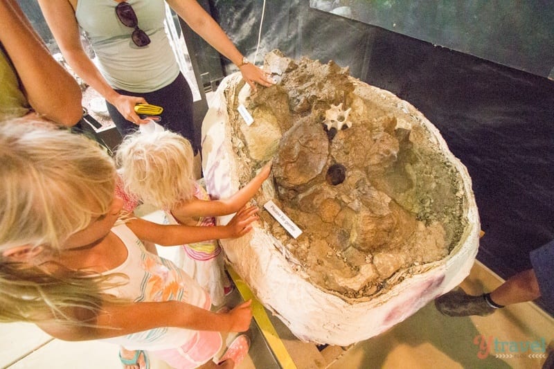 children touching dinosaur bones