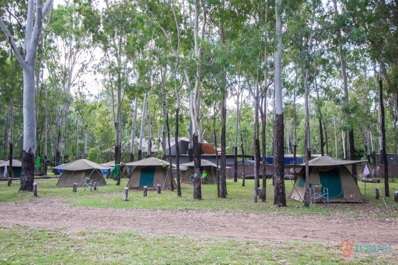 tents in a wooded area