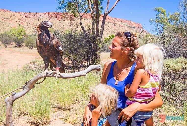 Desert Park, Alice Springs - Northern Territory, Australia