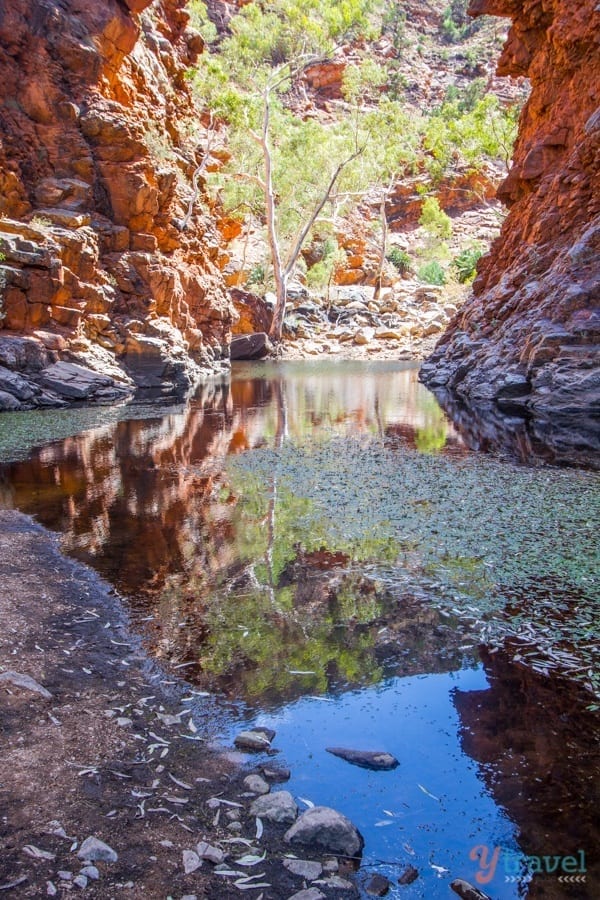 Serpentine Gorge - West MacDonnel Ranges, Northern Territory, Australia