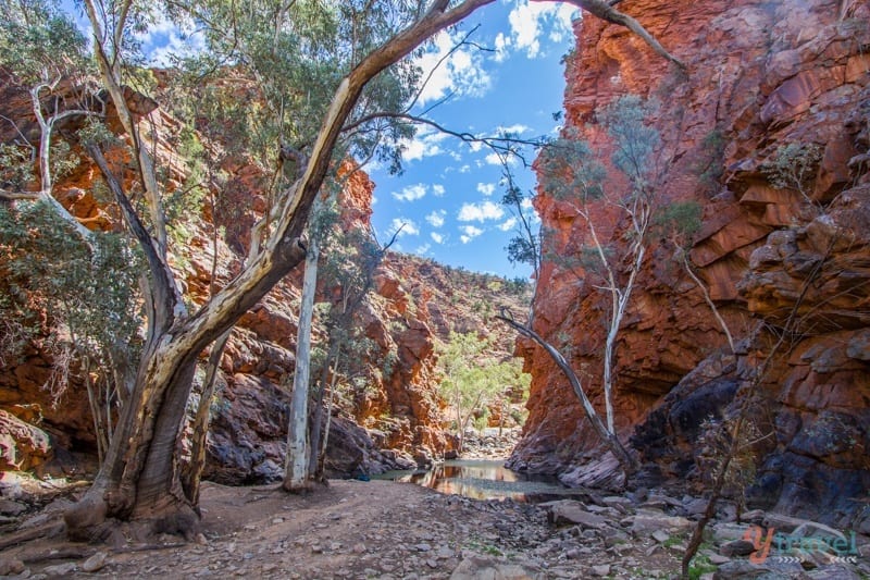 Serpentine Gorge - West MacDonnel Ranges, Northern Territory, Australia
