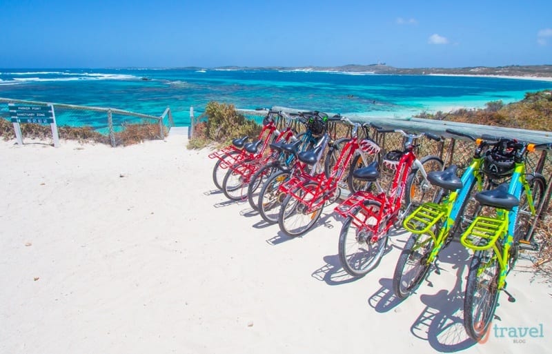 bikes lined up next to Little Salmon Bay, Rottnest Island, Western Australia