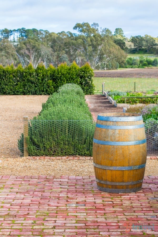 Jacob's Creek Winery, Barossa Valley, South Australia