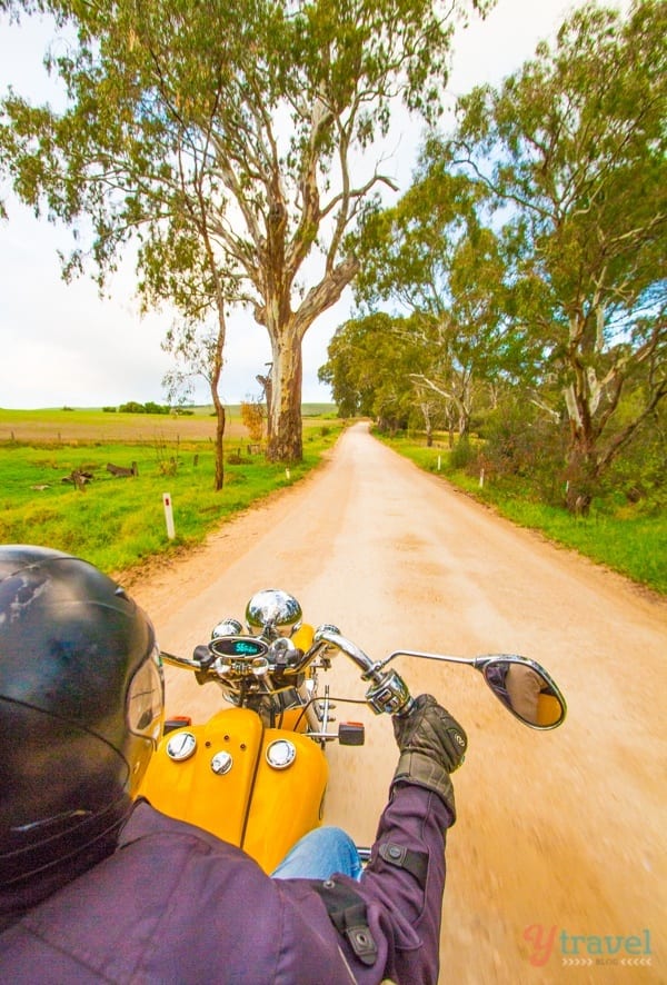 Take a road trip through the Barossa Valley in South Australia