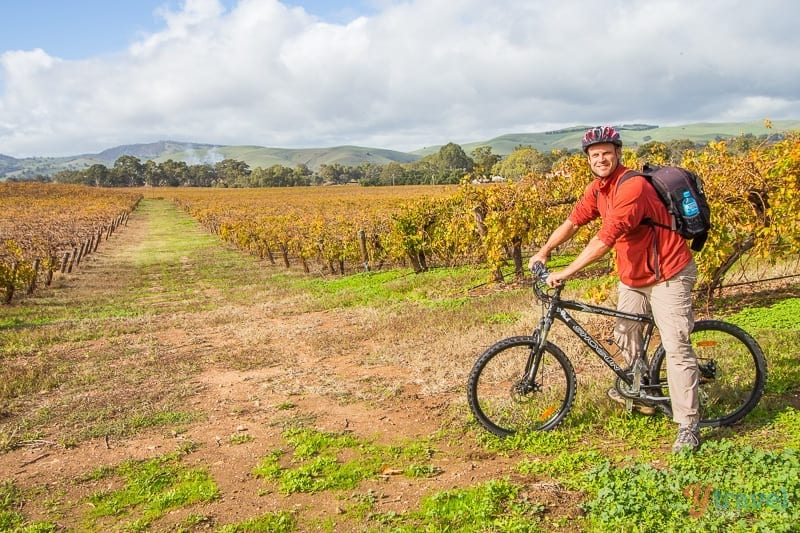 Bike and picnic in the Barossa Valley, South Australia 