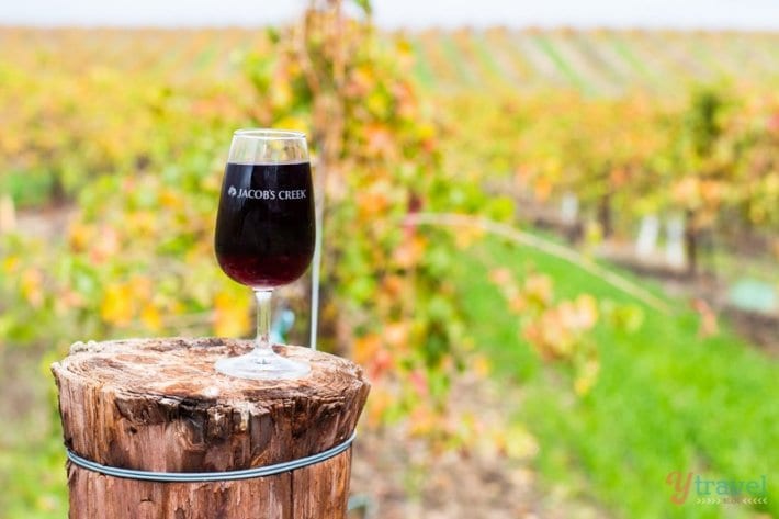 glass of red wine on fence post with views of vineyard