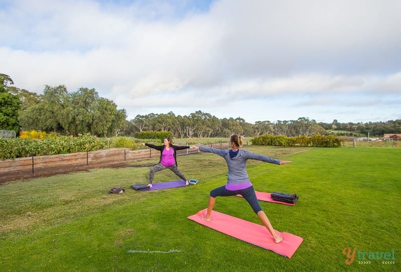 Practicing yoga in the Barossa Valley, South Australia