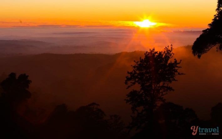 Sunrise in The Bunya Mountains, Queensland, Australia