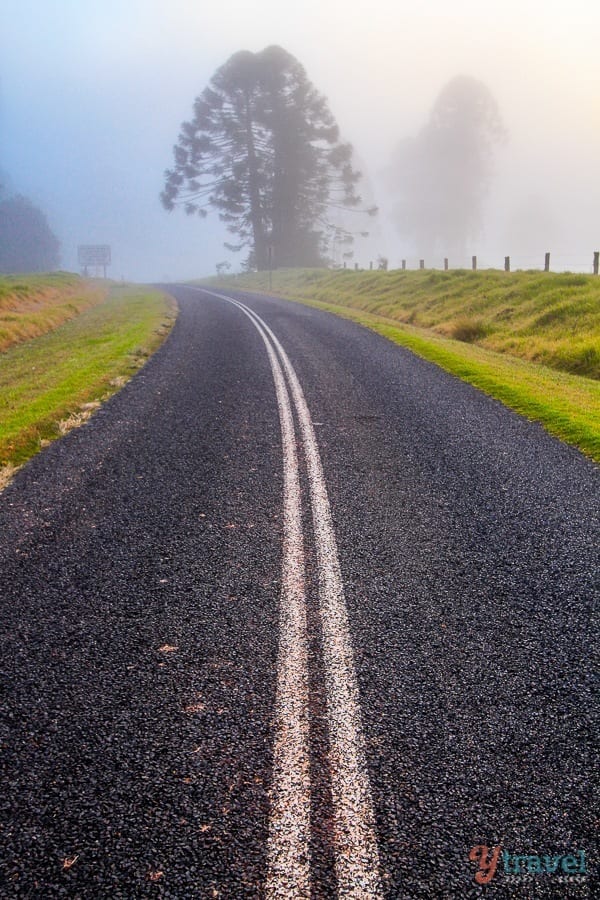 curving black road through the Bunya Mountains, Queensland, Australia
