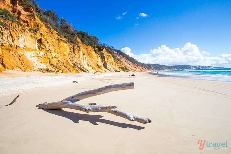 orange cliffs and log on Rainbow Beach, Queensland, Australia
