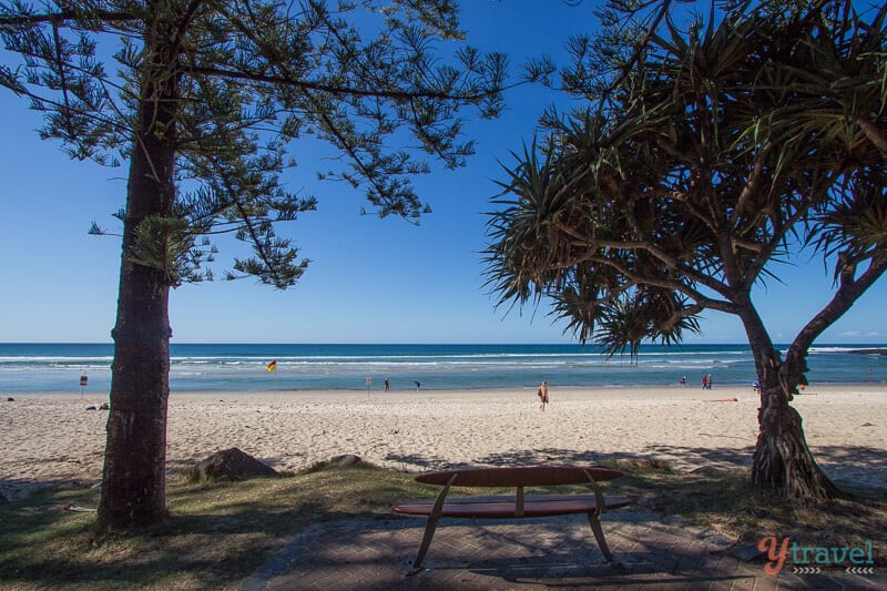 seat successful  betwixt  2  trees with views of burleigh beach