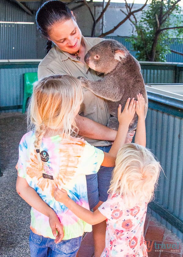 girls petting Koala at Billabong Wildlife Park