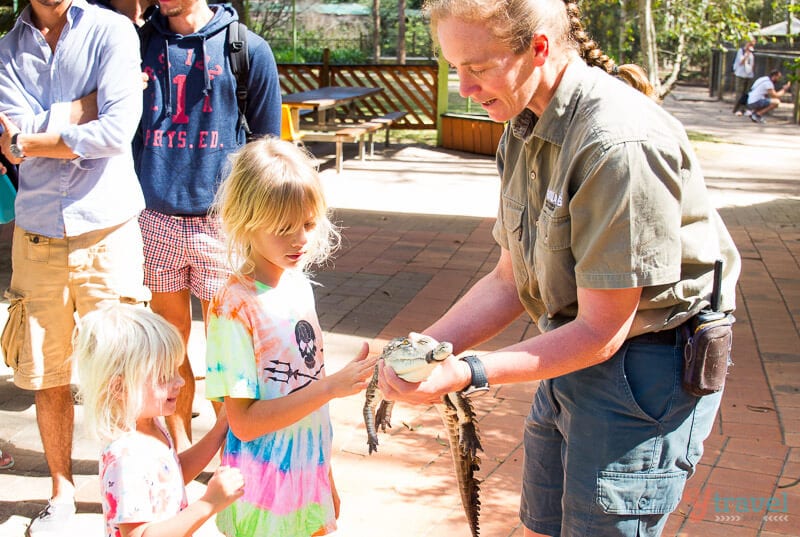 girls petting baby crocodile at Billabong Zoo