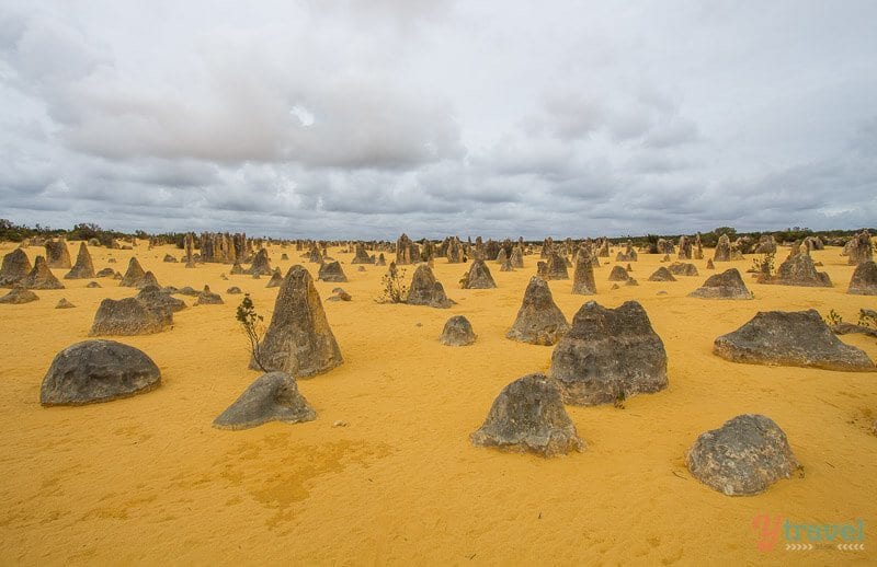 pnnacle rocks in a desert