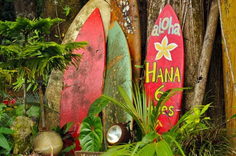 The road to hana Maui