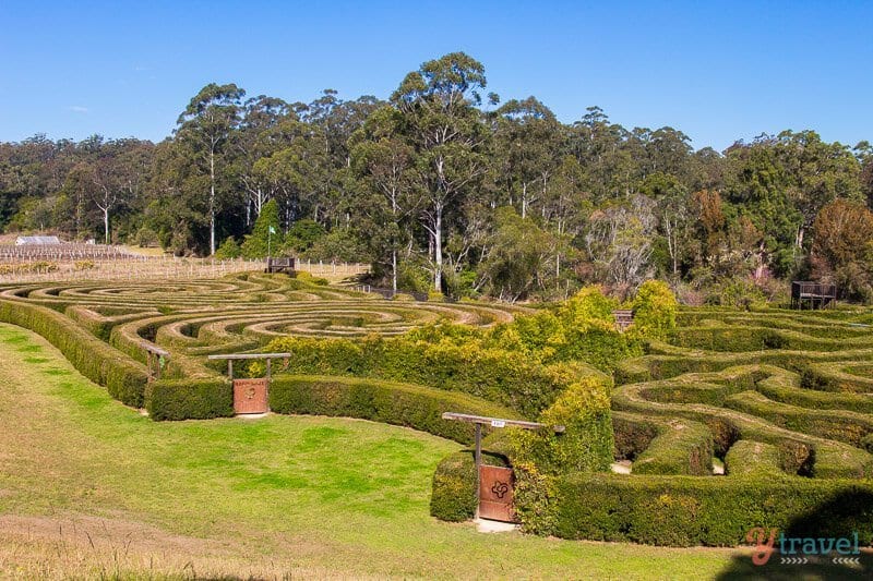 Bago Maze, Port Macquarie, NSW, Australia