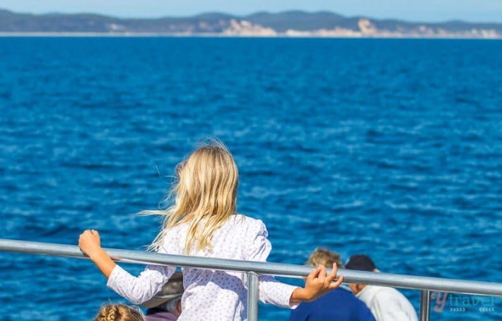 girl looking out for whales on a boat
