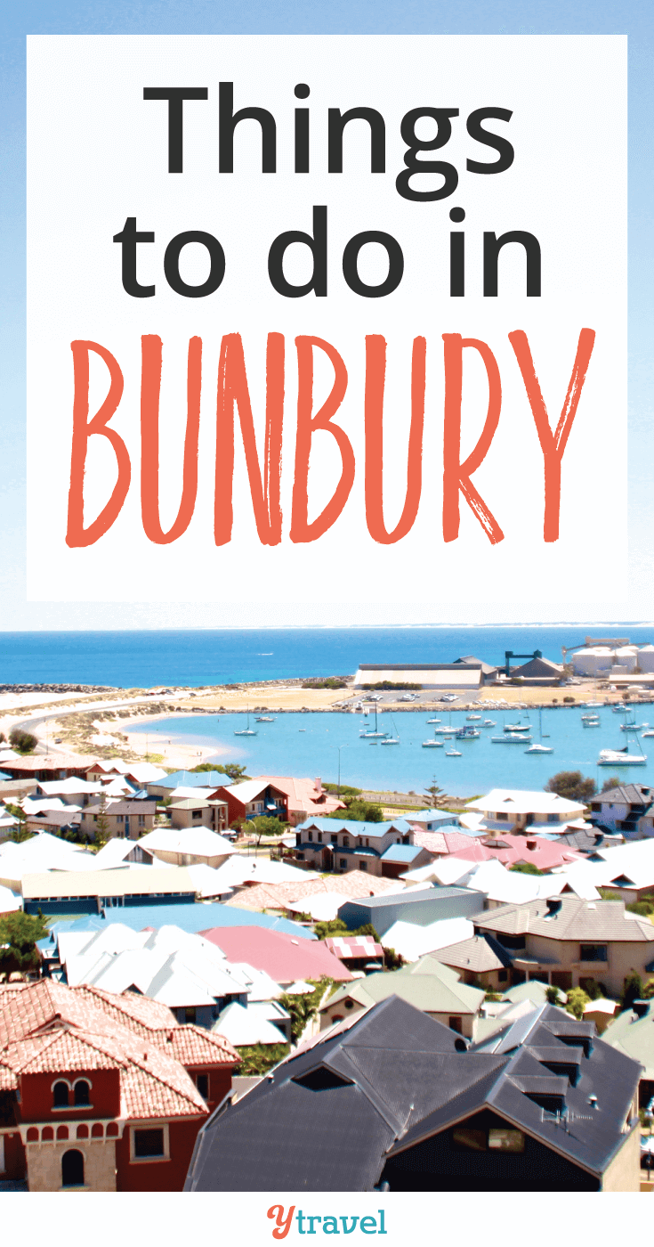 Check out this quieter destination on the west coast of Australia. We've got you covered for some really cool things to do in Bunbury.
