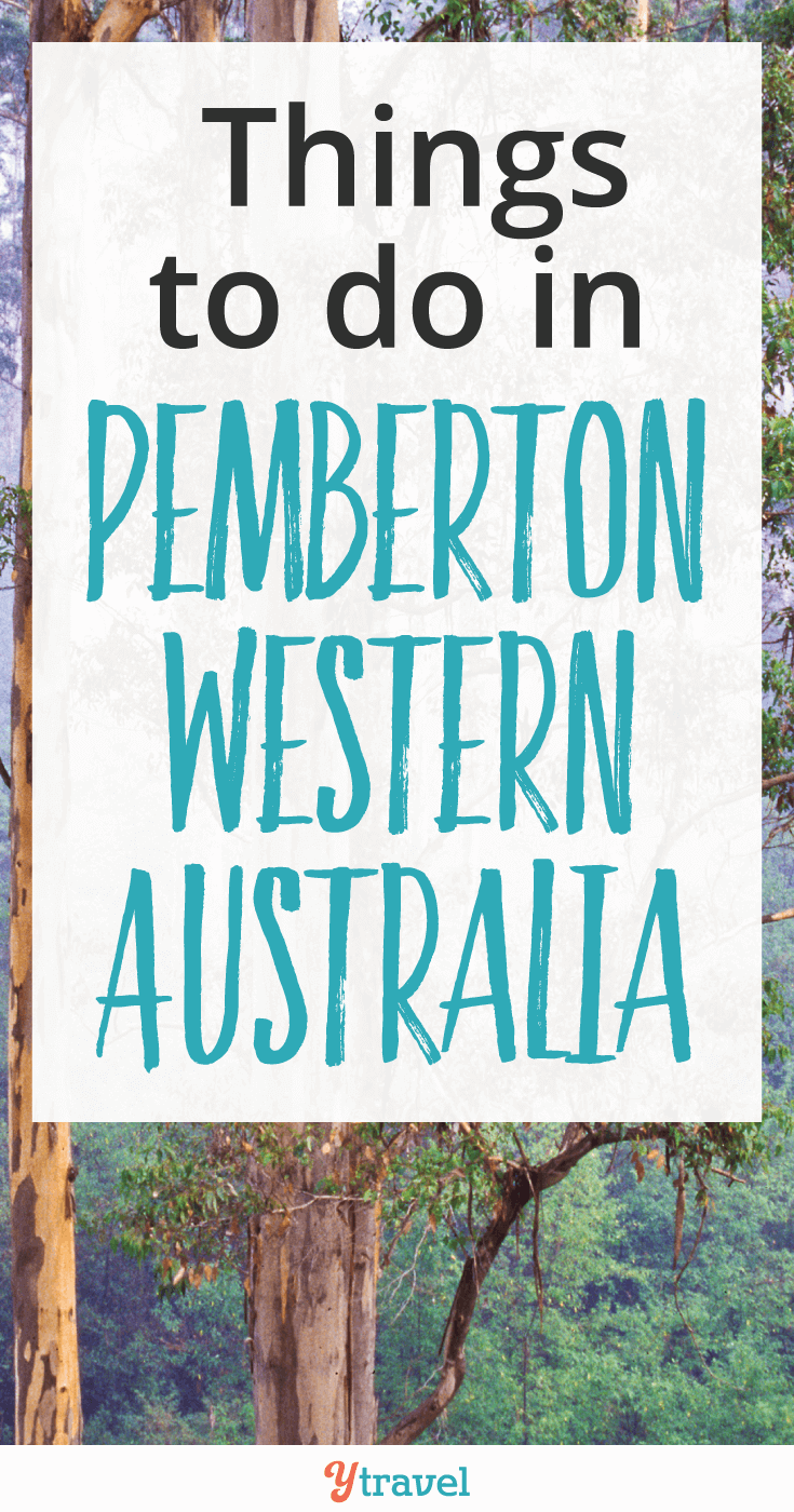 Check out these awesome things to do in Pemberton Western Australia. Pemberton offers loads of fun and outdoor adventures for the entire family.