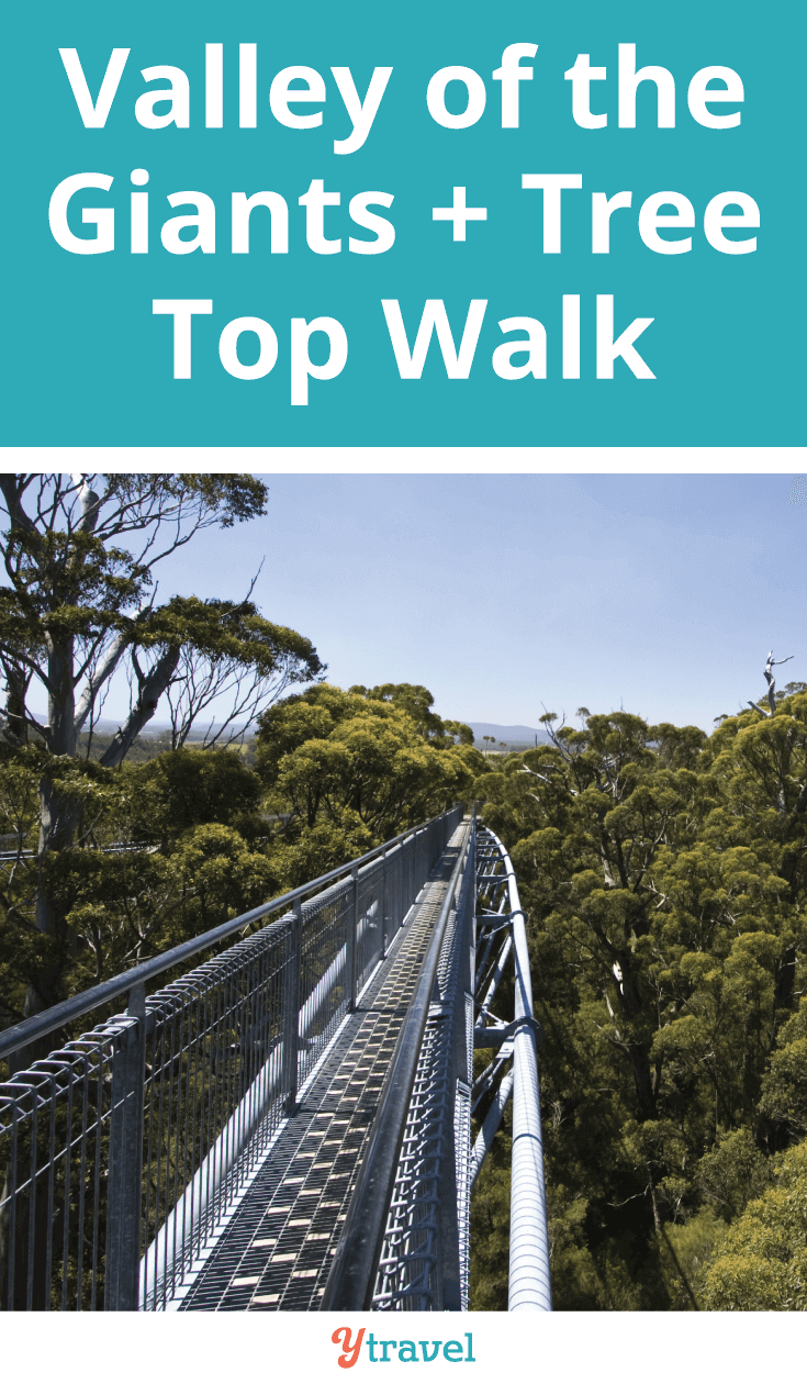 If you find yourself in Australia's South West, a visit to the Valley of the Giants and the Tree Top Walk is a must.