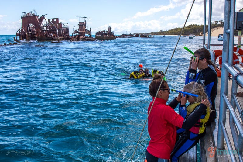 Snorkeling the Tangalooma Wrecks on Moreton Island, Queensland, Australia