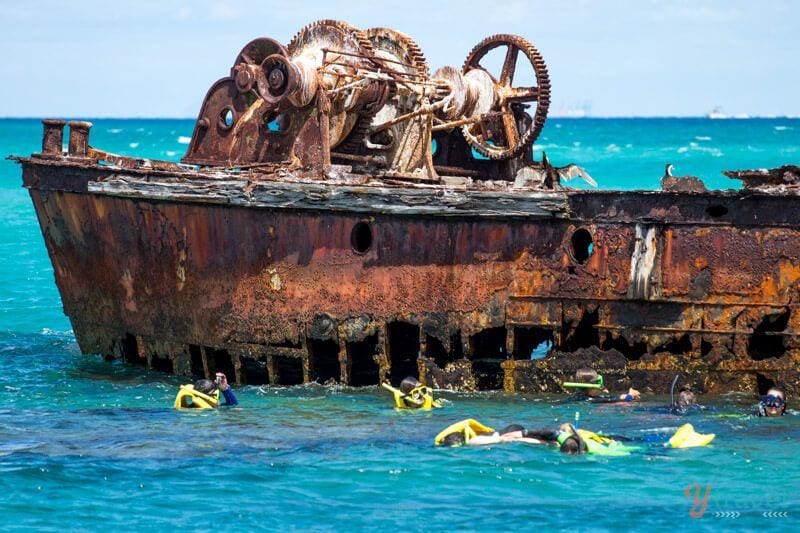 people snorkeling next to ship ruins