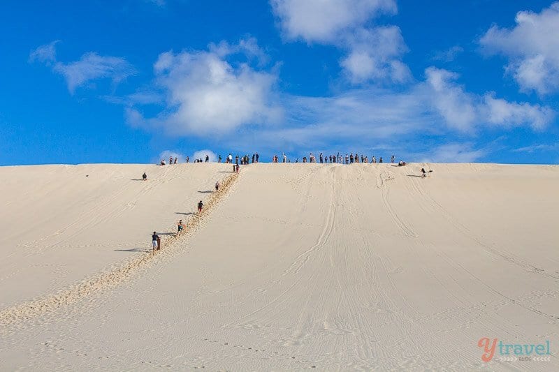 people sandboarding down dune