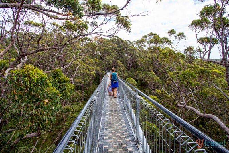 Tree Top Walk at the Valley of the Giants, Western Australia