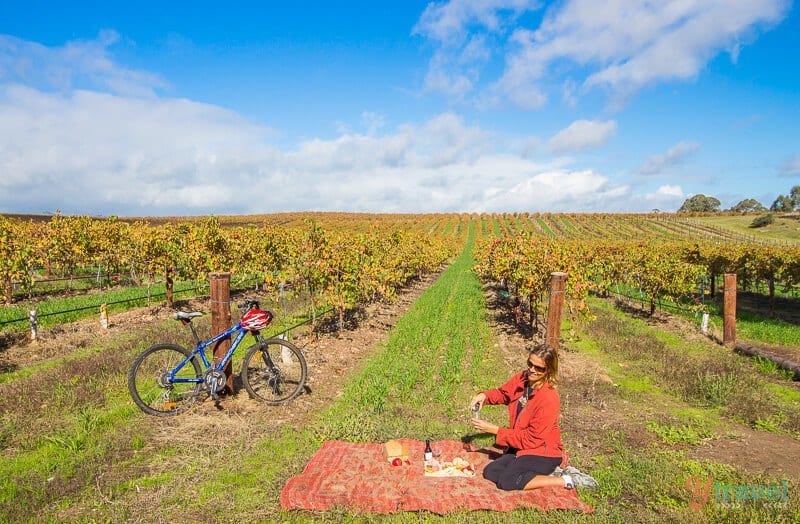 woman sitting on picnic blanket drinking wine in barossa valley vineyards