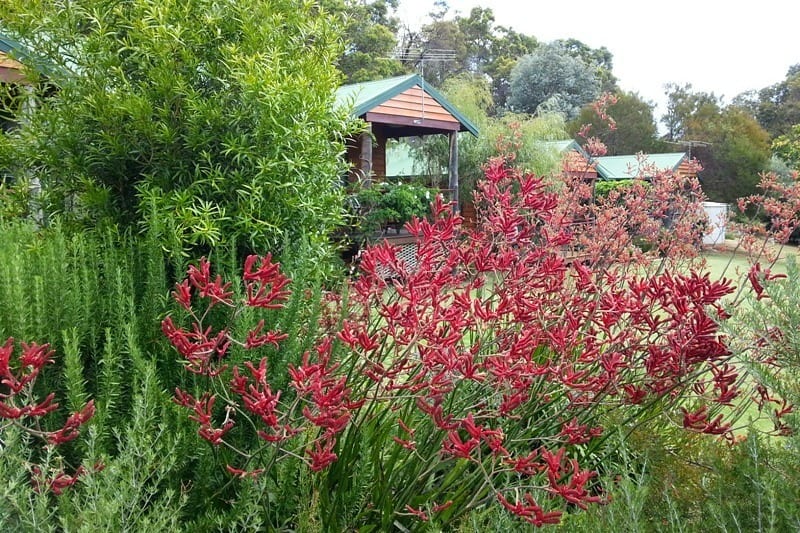 Peppermint Lane Lodge, Ferguson Valley, Western Australia