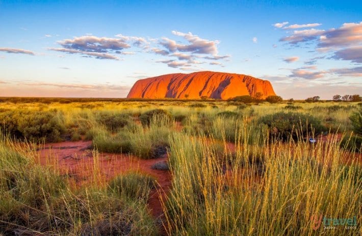 Uluru at sunrise in the middle of the grassy field
