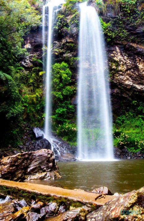 Twin Falls in Springbrook National Park, Gold Coast Hinterland, Queensland, Australia
