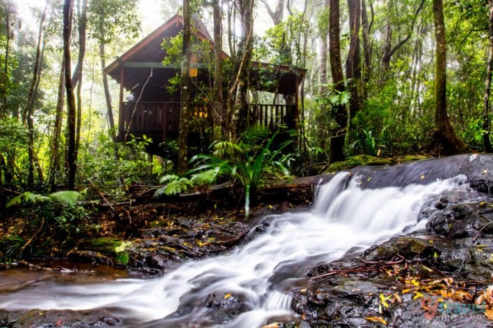 Guide To Springbrook National Park's Best Walks