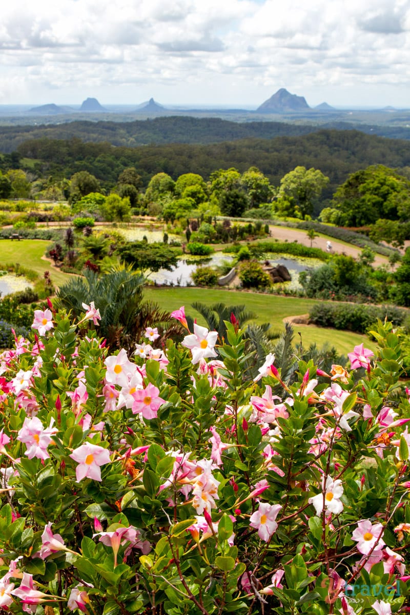 Maleny Botanic Gardens - Sunshine Coast Hinterland, Queensland, Australia