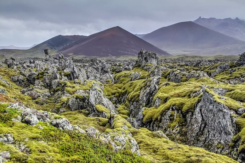 rocky landscape covered in lush mossy green