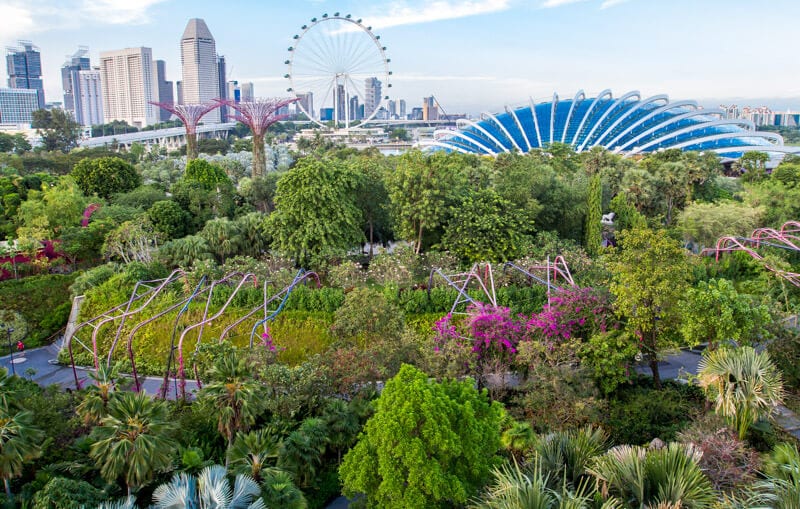 aerial view of the lush Gardens by the Bay - 