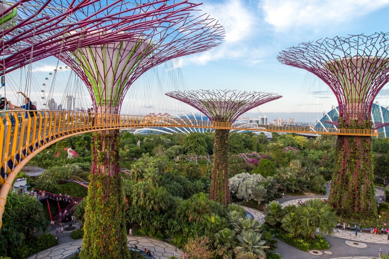 Supertrees Gardens by the Bay