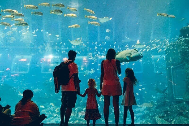 family looking at fish in giant aquarium