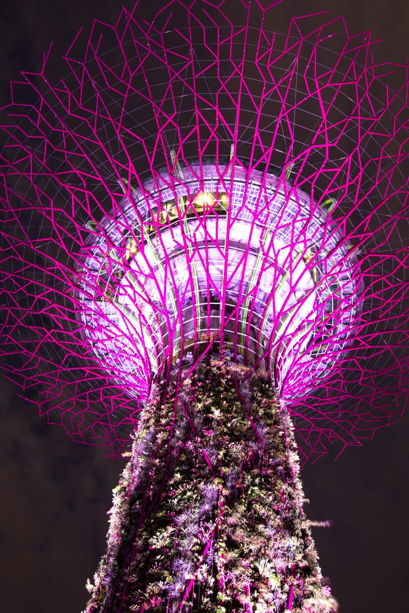 Gardens by the Bay - one of the best things to do in Singapore with kids