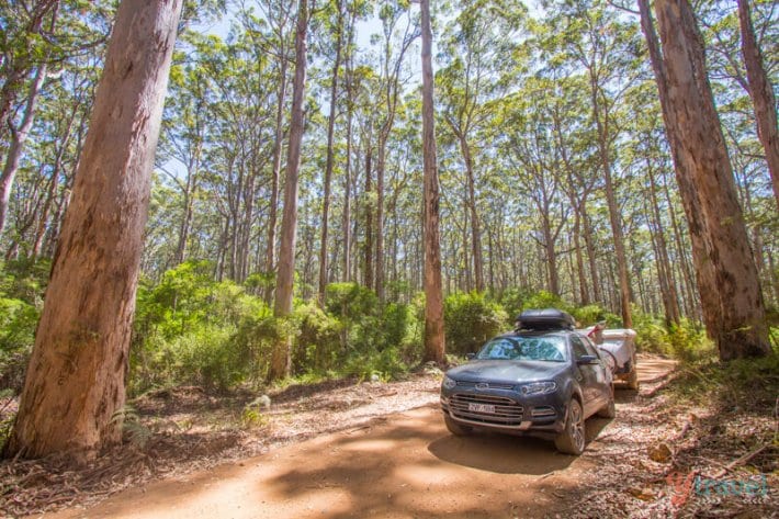 car on dirt trail in Margaret River forest